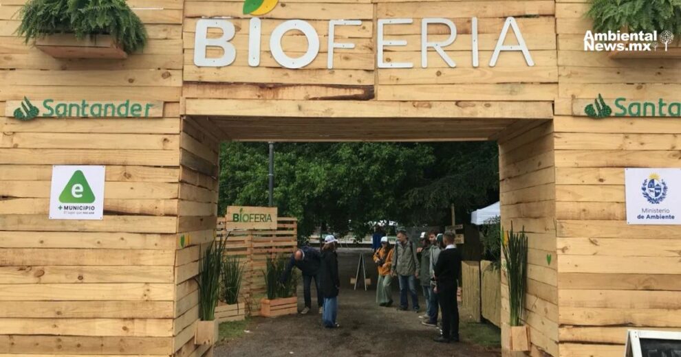 Bioferia 2025: un festival de sustentabilidad para disfrutar y aprender 11 Bioferia 2025: un festival de sustentabilidad para disfrutar y aprender