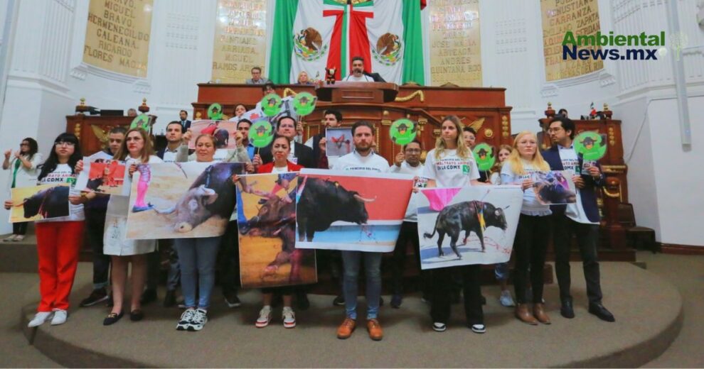 CDMX aprueba corridas de toros sin violencia: Un cambio histórico en la Tauromaquia  11 CDMX aprueba corridas de toros sin violencia Un cambio historico en la Tauromaquia