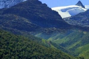 Caficultores de la Sierra Nevada de Santa Marta lideran la restauracion de bosques afectados por cultivos ilicitos
