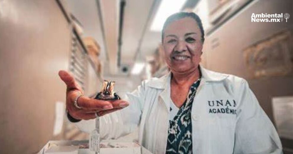 Descubren nueva especie de murcielago en Mexico