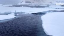 El deshielo en la Antartida esta debilitando la corriente oceanica mas fuerte del mundo