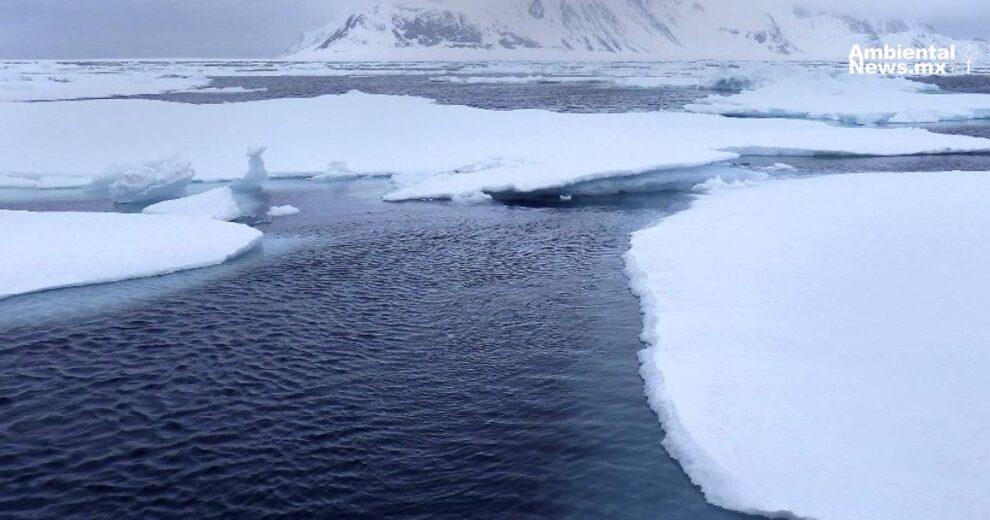 El deshielo en la Antártida está debilitando la corriente oceánica más fuerte del mundo  11 El deshielo en la Antartida esta debilitando la corriente oceanica mas fuerte del mundo