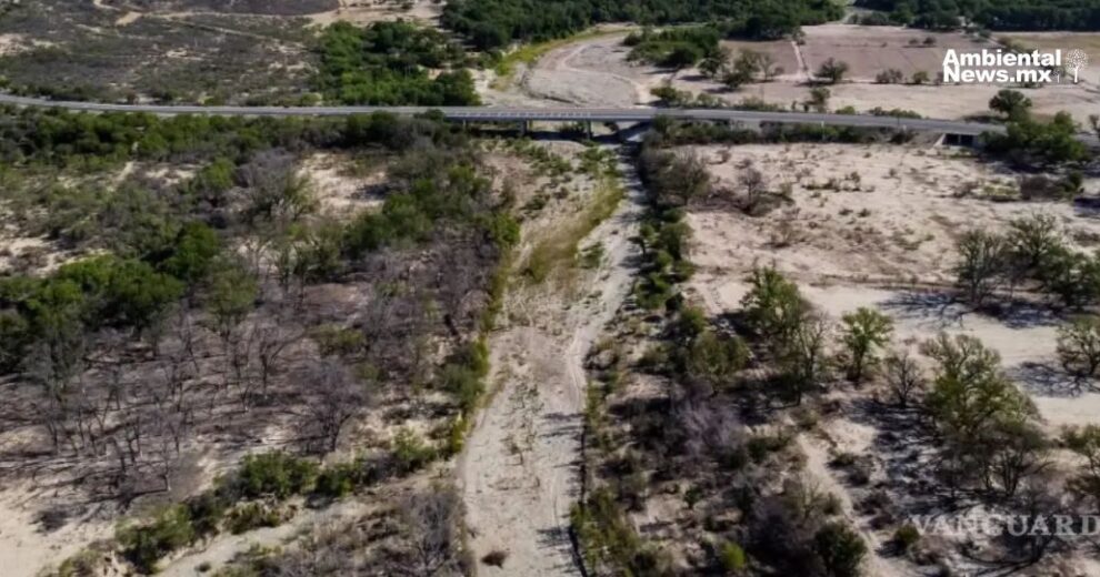 Organizaciones civiles y legisladores unen fuerzas para proteger el Rio San Rodrigo en Coahuila