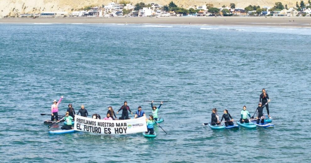 Rada Tilly se moviliza por la conservación marina 11 Rada Tilly se moviliza por la conservación marina