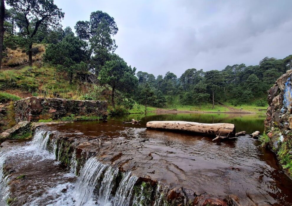 50% de bosque ha desaparecido, en gran parte por la actividad humana 7 50% de bosque ha desaparecido, en gran parte por la actividad humana