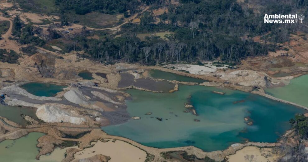Crisis ambiental en América Latina: racionamiento de agua y minería ilegal 11 Crisis ambiental en América Latina: racionamiento de agua y minería ilegal