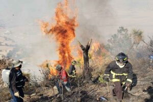 Incendio forestal en Tetela de Ocampo, Puebla: autoridades trabajan para su extinción