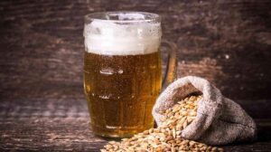 El problema de los residuos de cerveza y la solución vegana que está revolucionando el mundo