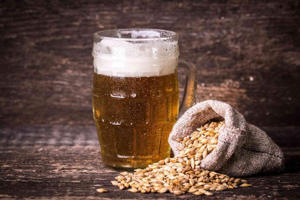 El problema de los residuos de cerveza y la solución vegana que está revolucionando el mundo 11 El problema de los residuos de cerveza y la solución vegana que está revolucionando el mundo