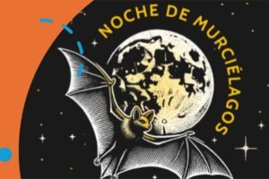 Un encuentro nocturno entre esta especie poco peculiar y la naturaleza 15 Un encuentro nocturno entre esta especie poco peculiar y la naturaleza