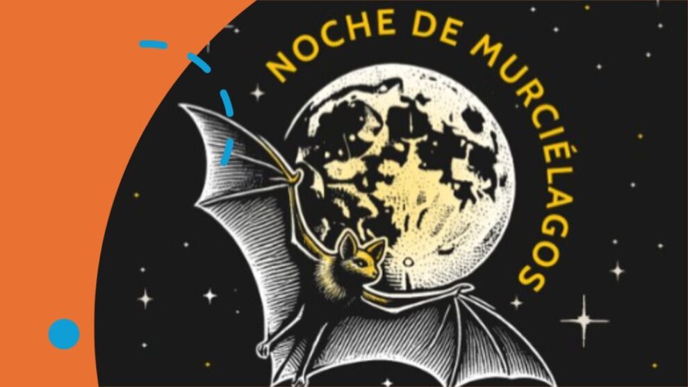 Un encuentro nocturno entre esta especie poco peculiar y la naturaleza 11 Un encuentro nocturno entre esta especie poco peculiar y la naturaleza