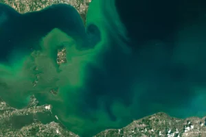 Tierra primitiva: cuando los océanos eran verdes