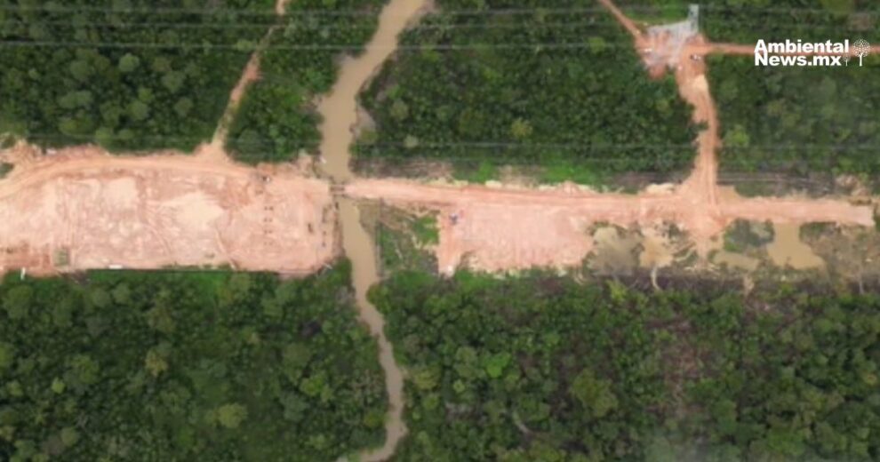 ¡Alerta en El Palmar cazan ilegalmente ciervos y carpinchos 1