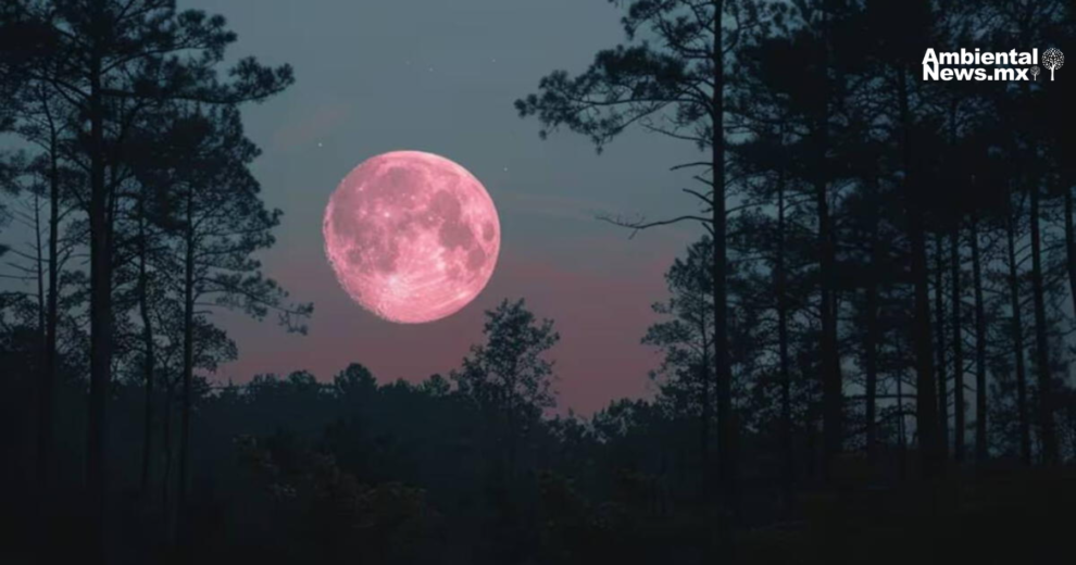 ¡El cielo se tiñe de rosa! Prepárate para el increíble fenómeno lunar 11 AN WEB