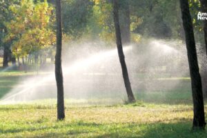 AN WEB Torreon apuesta por el riego con agua tratada y la reforestacion con especies resistentes al clima