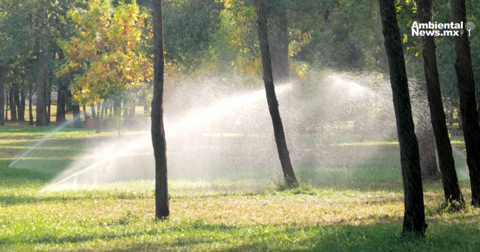 Torreón apuesta por el riego con agua tratada y la reforestación con especies resistentes al clima 11 AN WEB Torreon apuesta por el riego con agua tratada y la reforestacion con especies resistentes al clima