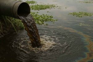 Ciénaga de San Silvestre en Colombia