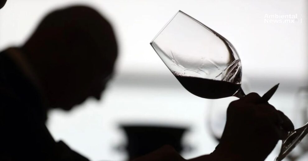 Detectan altos niveles de PFAS en vinos de diez países europeos, incluida España 11 Detectan altos niveles de PFAS en vinos de diez paises europeos incluida Espana