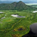 El Pantanal