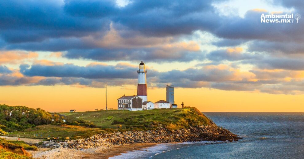 Long Island se moviliza por el medio ambiente: iglesias, jóvenes y comunidad se unen en defensa de la Tierra  11 El cambio climatico empuja a serpientes venenosas hacia nuevos territorios un riesgo creciente para la salud global 1