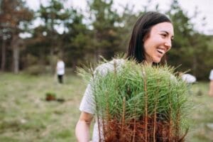España: Artajona inicia proyecto de bosque