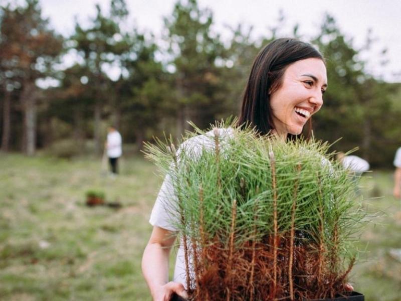 España: Artajona inicia proyecto de bosque de alimentos para fomentar la biodiversidad 7 España: Artajona inicia proyecto de bosque