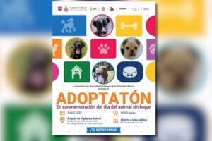 Adoptatón