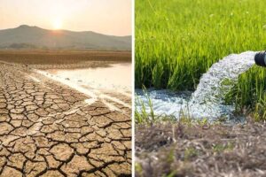 Agua, Biodiversidad y Clima