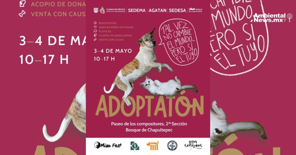 Ciudad de México celebra el Segundo Adoptatón: una nueva oportunidad para cientos de perros y gatos sin hogar 11 Ciudad de Mexico celebra el Segundo Adoptaton una nueva oportunidad para cientos de perros y gatos sin hogar