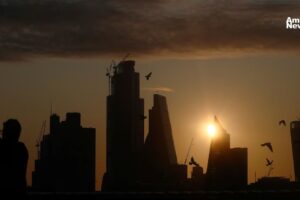 Ciudad de Mexico celebra el Segundo Adoptaton una nueva oportunidad para cientos de perros y gatos sin hogar 1