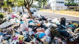 Copenhague recompensa a los turistas que cuidan el medio ambiente asi funciona el programa CopenPay 2