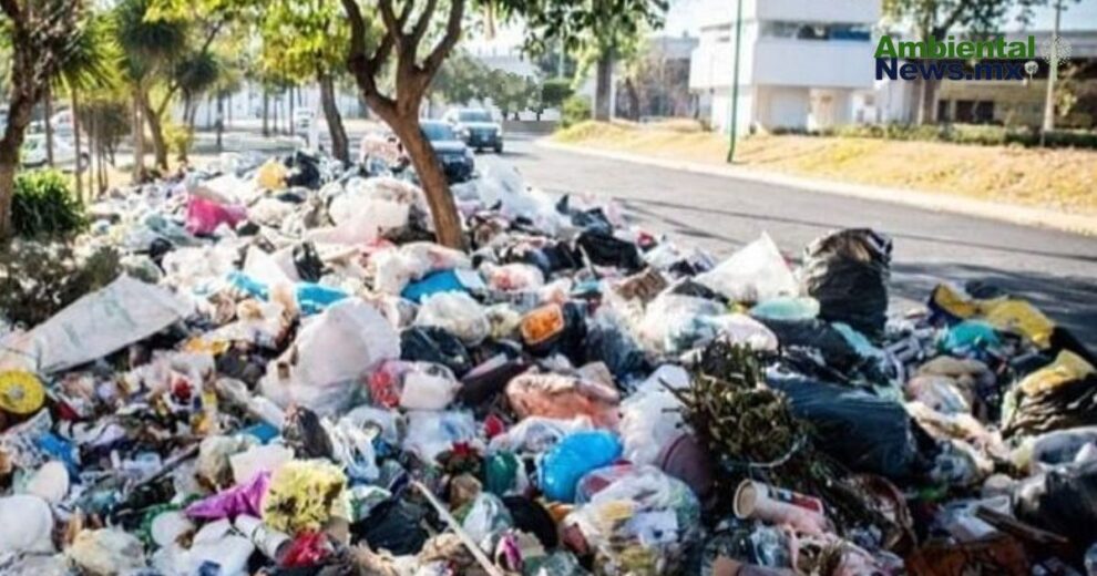 Copenhague recompensa a los turistas que cuidan el medio ambiente asi funciona el programa CopenPay 2