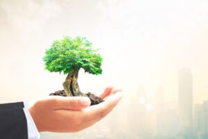 El cambio climatico y su amenaza para la economia global