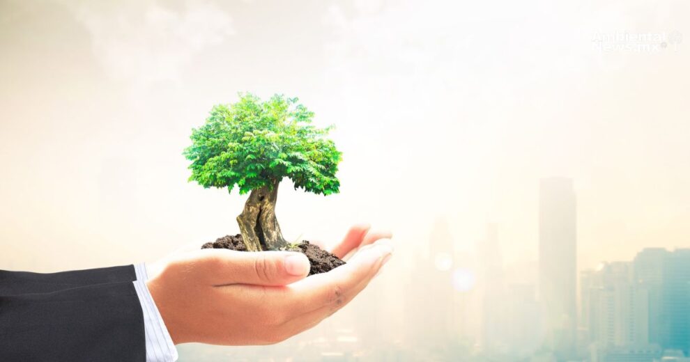 El cambio climático y su amenaza para la economía global  11 El cambio climatico y su amenaza para la economia global
