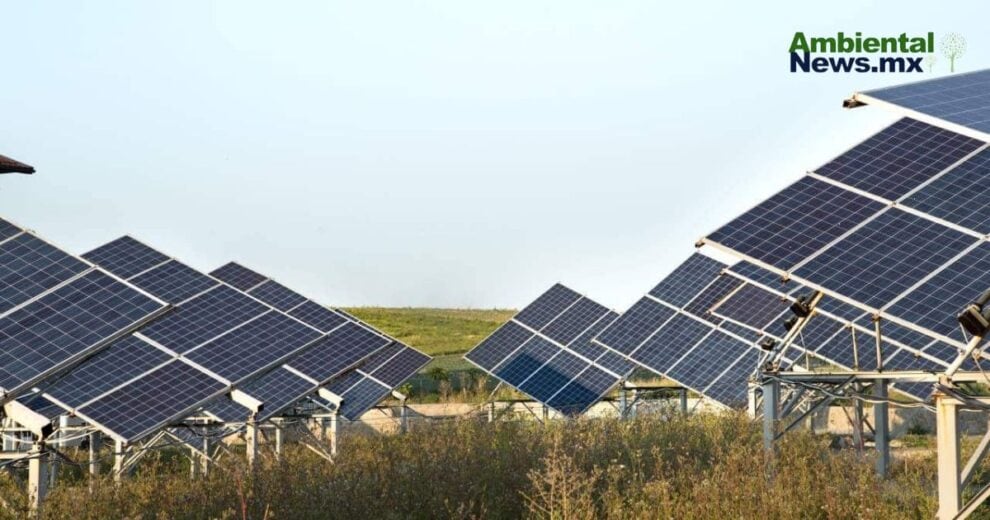 ¿Te gustó nuestra nota? ¡Contáctanos y deja tu comentario! AQUÍ Conoce nuestra red ANCOP Network AQUÍ