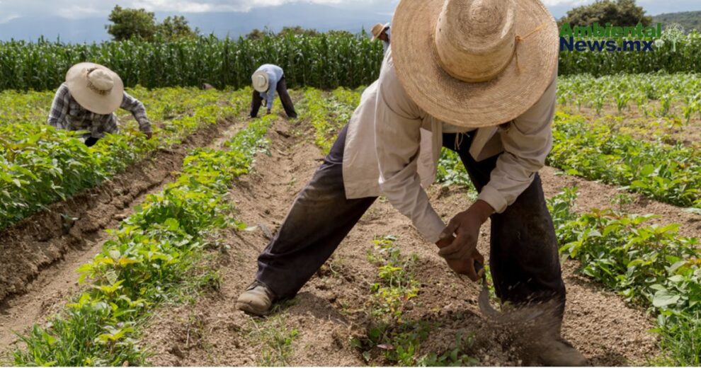 Mexico necesitara 1.7 billones de pesos anuales para cumplir compromisos climaticos rumbo a 2030 2