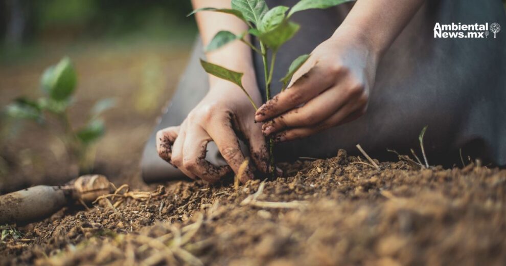 Navarra lanza la revolución de la agricultura regenerativa 11 Navarra lanza la revolucion de la agricultura regenerativa