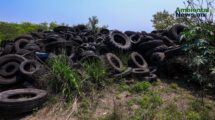 Suspenden tiradero clandestino en Cadereyta y evitan la quema de mil llantas