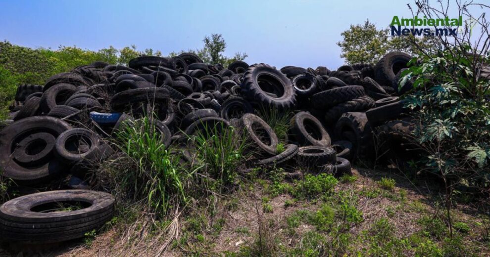 Suspenden tiradero clandestino en Cadereyta y evitan la quema de mil llantas 11 Suspenden tiradero clandestino en Cadereyta y evitan la quema de mil llantas