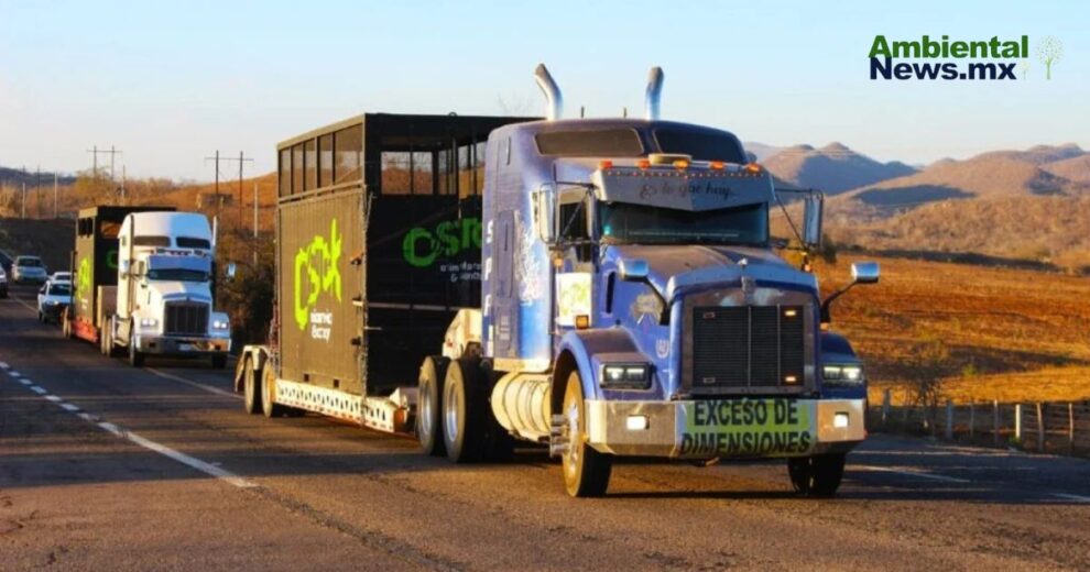 Violencia obliga al traslado de más de 700 animales silvestres en Sinaloa