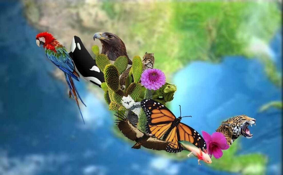 México: un país megadiverso... y en riesgo 11 México