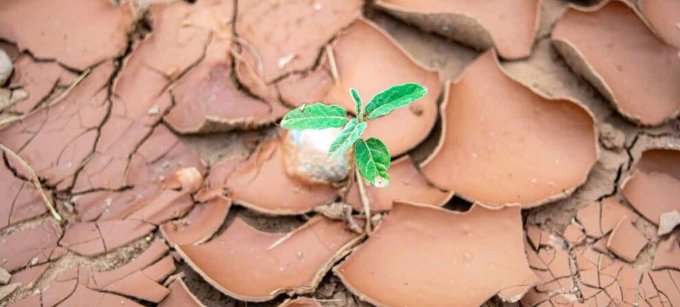 África en alerta: el cambio climático amenaza el desarrollo del continente 11 África