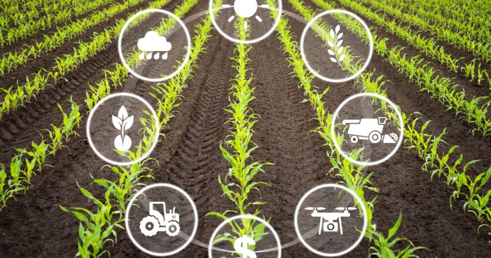 En los primeros días de junio, México dio pasos importantes para enfrentar la crisis ambiental.