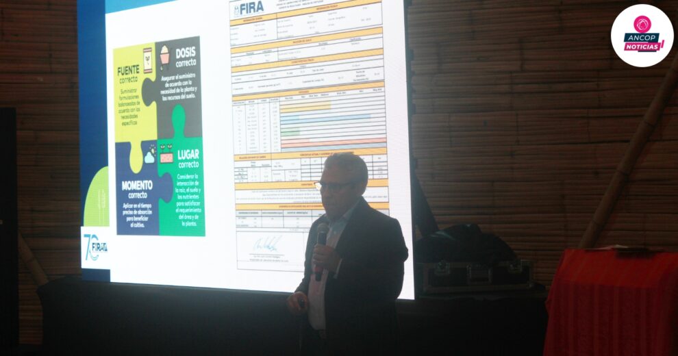 AncopNoticias WEB CT