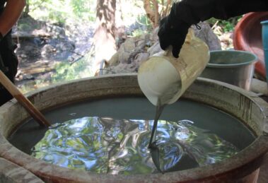 El impacto ambiental de los laboratorios clandestinos en Sinaloa representa una amenaza grave para la salud pública,