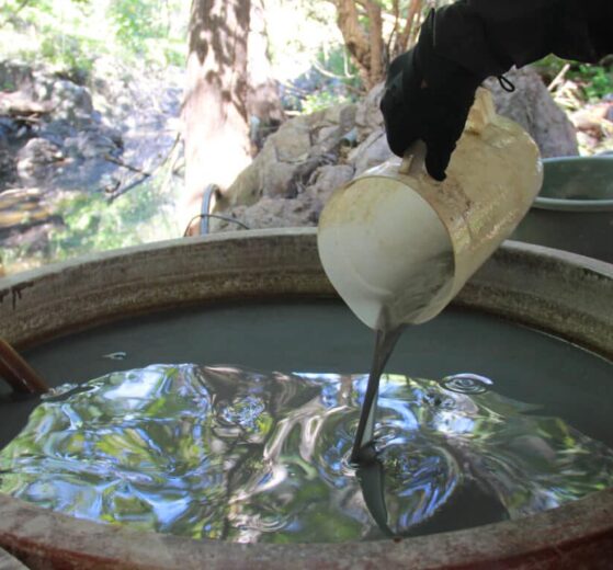 El impacto ambiental de los laboratorios clandestinos en Sinaloa representa una amenaza grave para la salud pública,