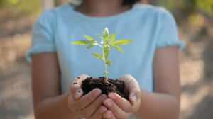 Jóvenes promueven el cuidado ambiental en el Arboretum Nacional