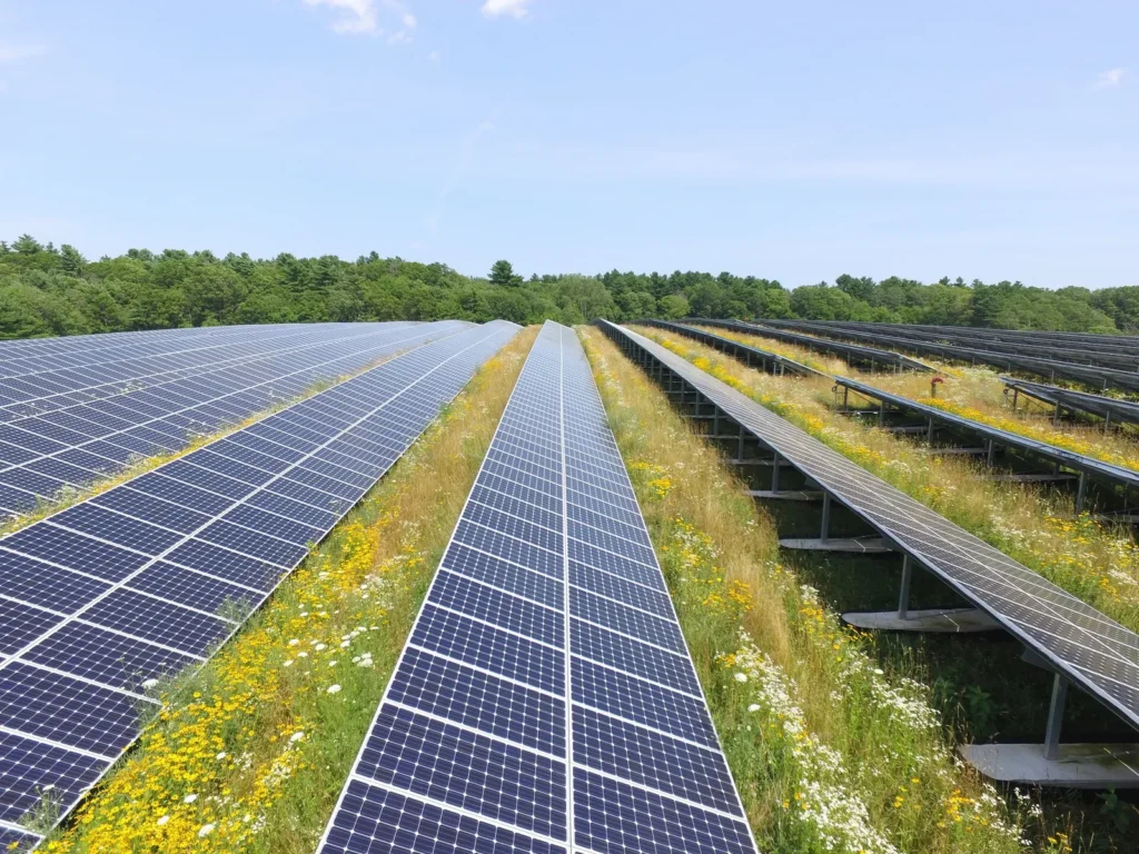 La AIE ajusta a la baja su proyección de crecimiento de la energía solar para 2025-2030 11 35502216484 c1b49186db k 1