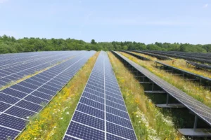 La AIE ajusta a la baja su proyección de crecimiento de la energía solar para 2025-2030  19 hoy