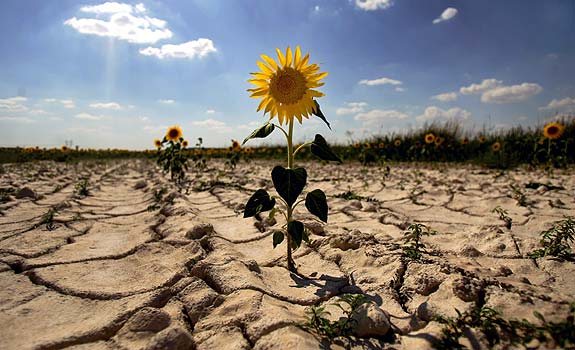 El planeta entra en zona de riesgo: La tierra alcanza su primer punto de inflexión climático irreversible 12 hoy